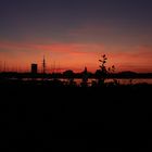 Alster_Sunset