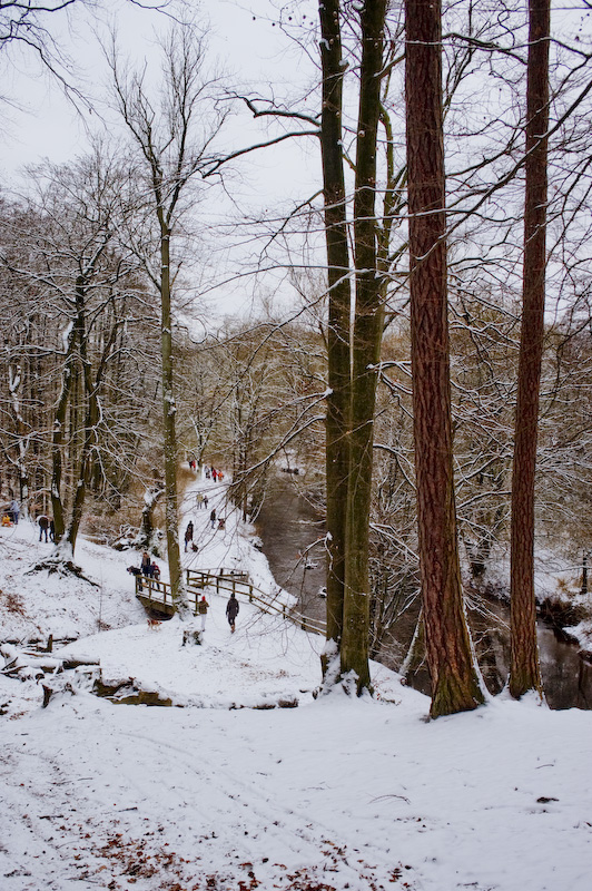 Alstertal bei Wellingsbüttel im Winter 1