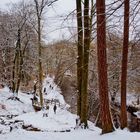 Alstertal bei Wellingsbüttel im Winter 1