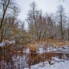 Alstertal bei Wellingsbüttel im Winter 2