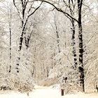 Alstertal im Neuschnee