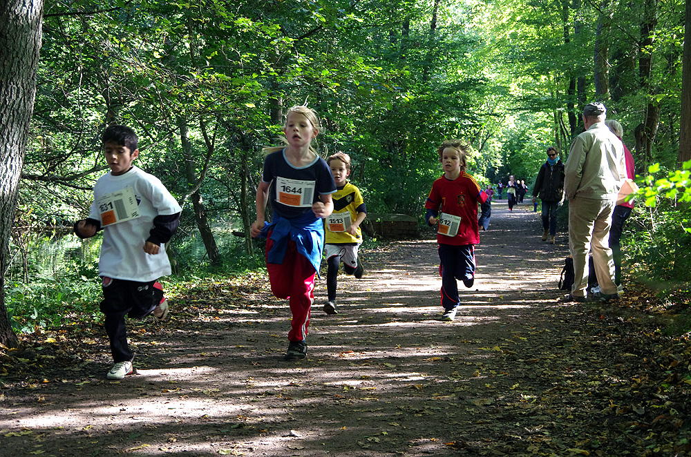 Alstertallauf 2013 - 9