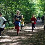 Alstertallauf 2013 - 9