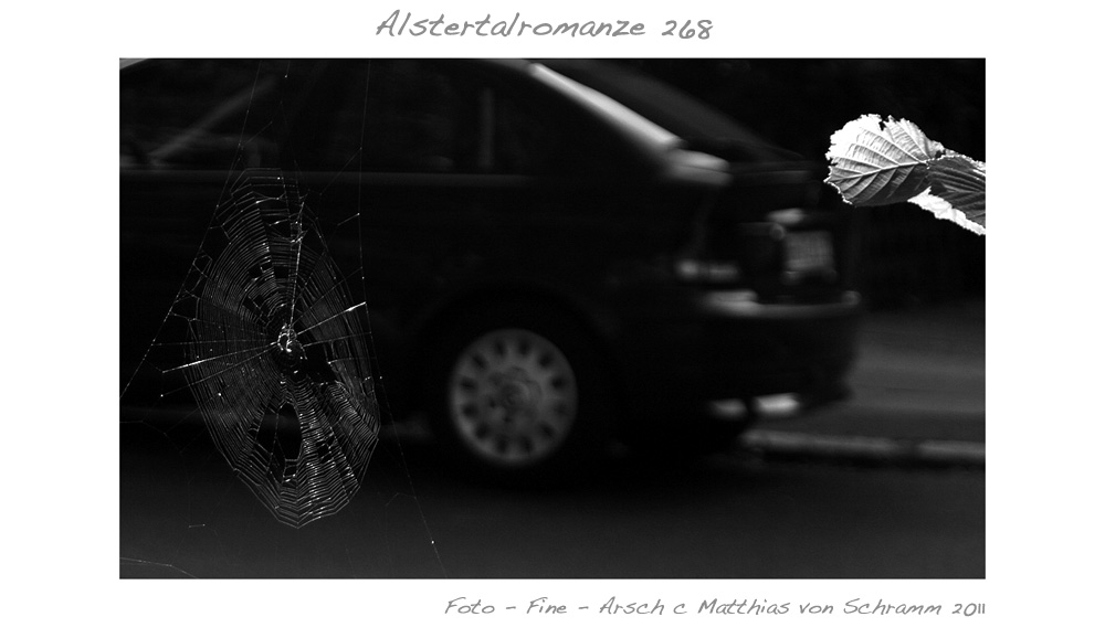 Alstertalromanze 268