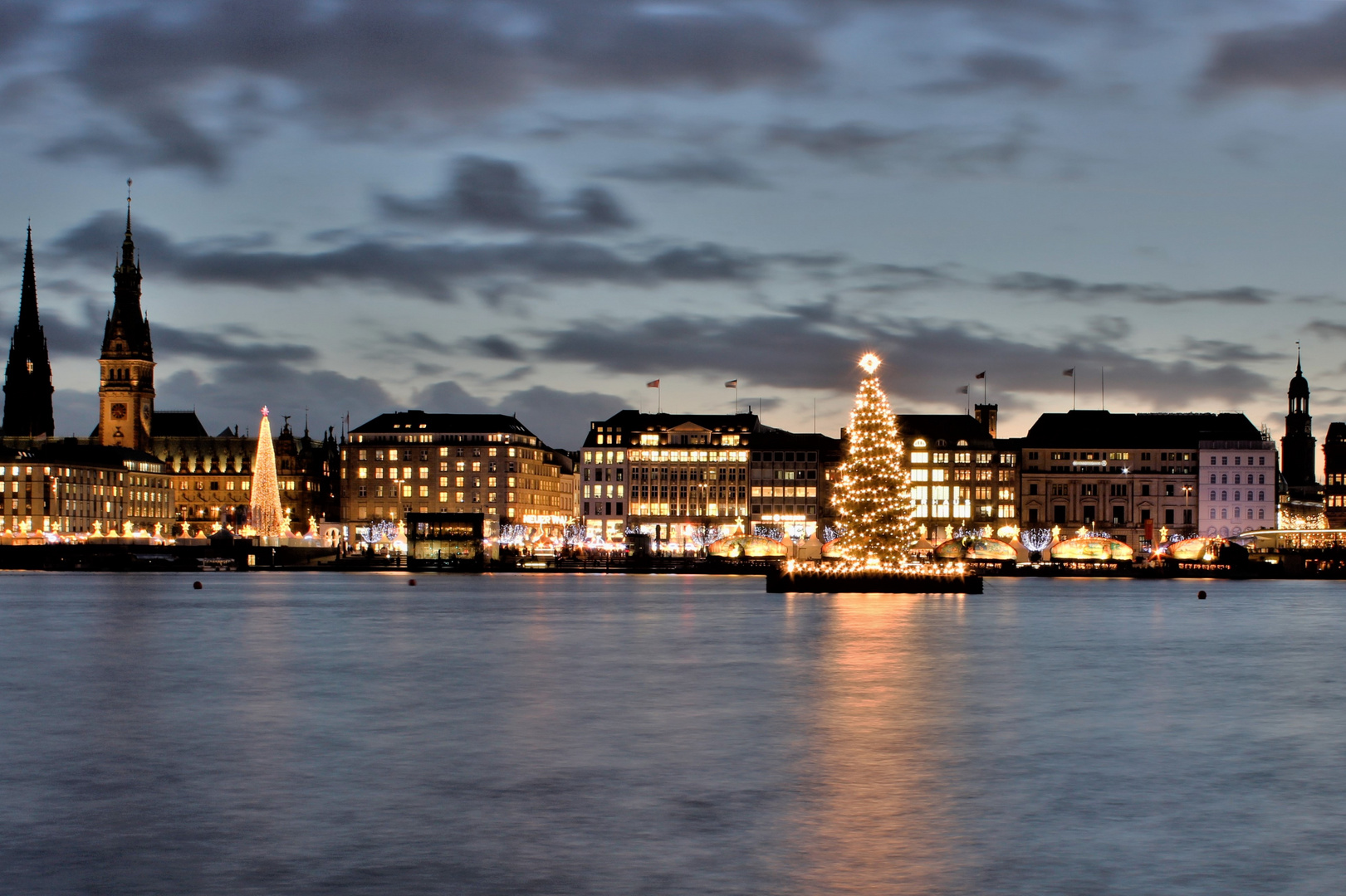 Alstertanne Hamburg