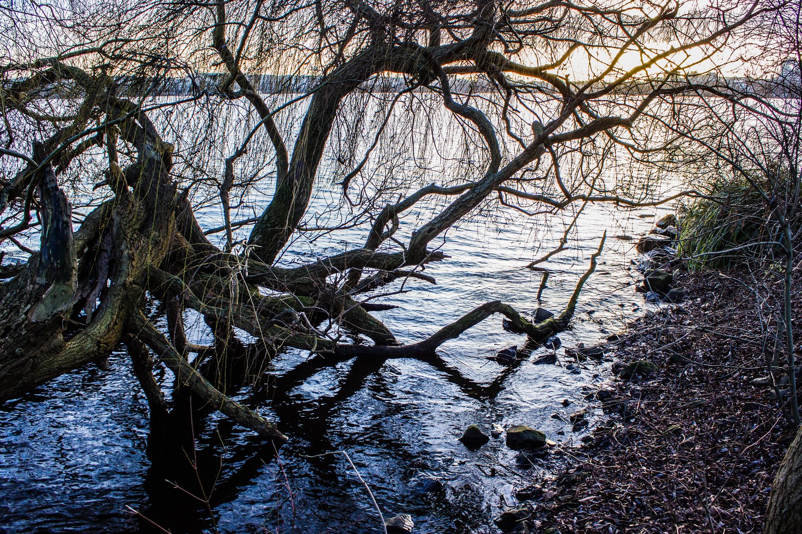 Alsterufer im Winter