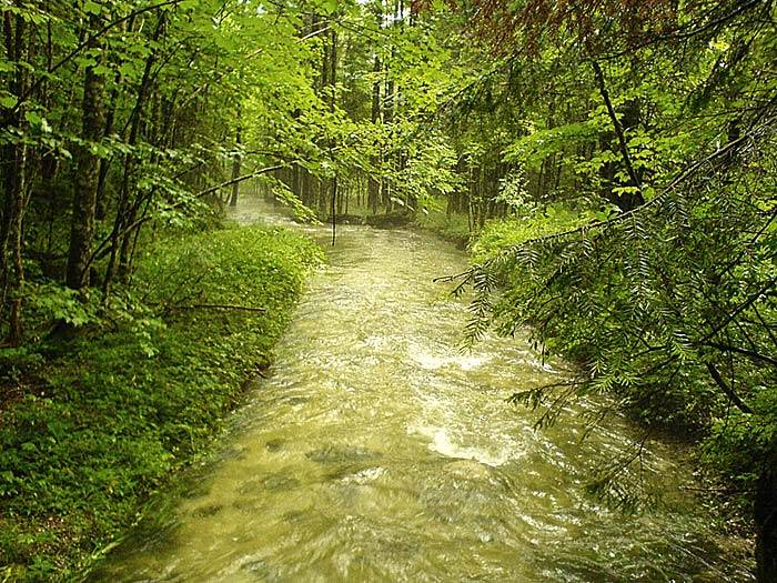 Alt Ausseer See Zufluss nach Starkregen - HANDY!