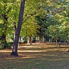 Alt Pempelfort Friedhof