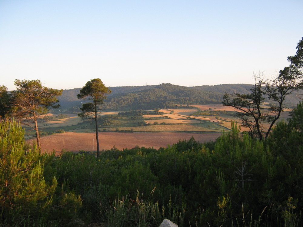 alt penedes