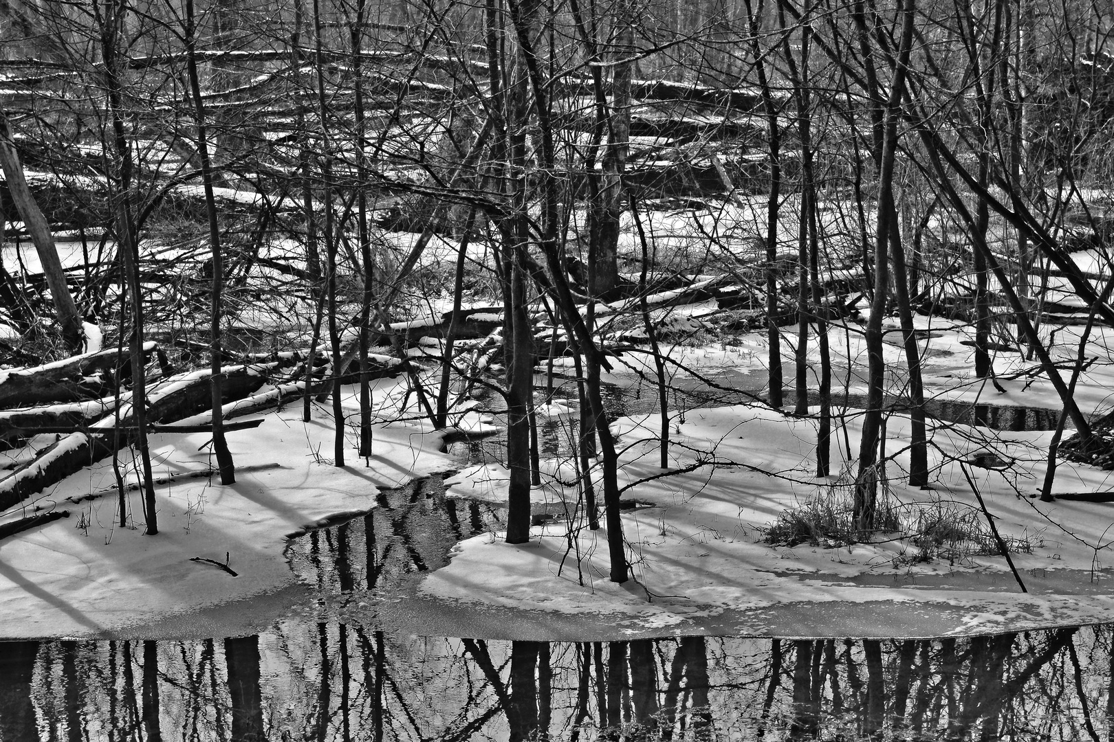 ALT-RHEIN-  Winterlandschaft