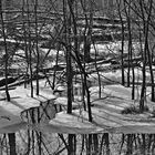 ALT-RHEIN-  Winterlandschaft