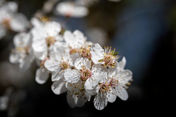 Alt trifft moderne Architektur