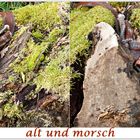 alt und morsch