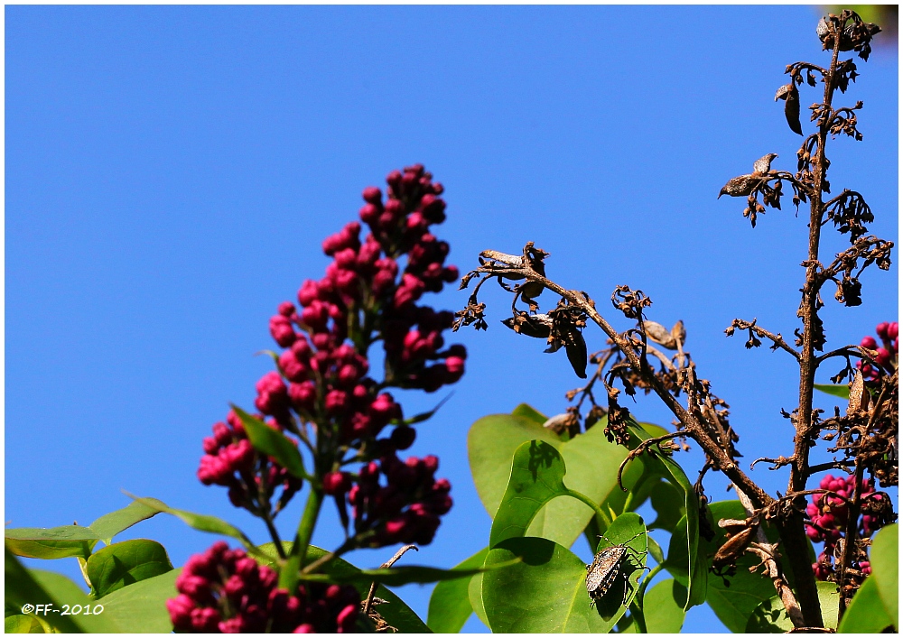 Alt und Neu - mit  Besuch