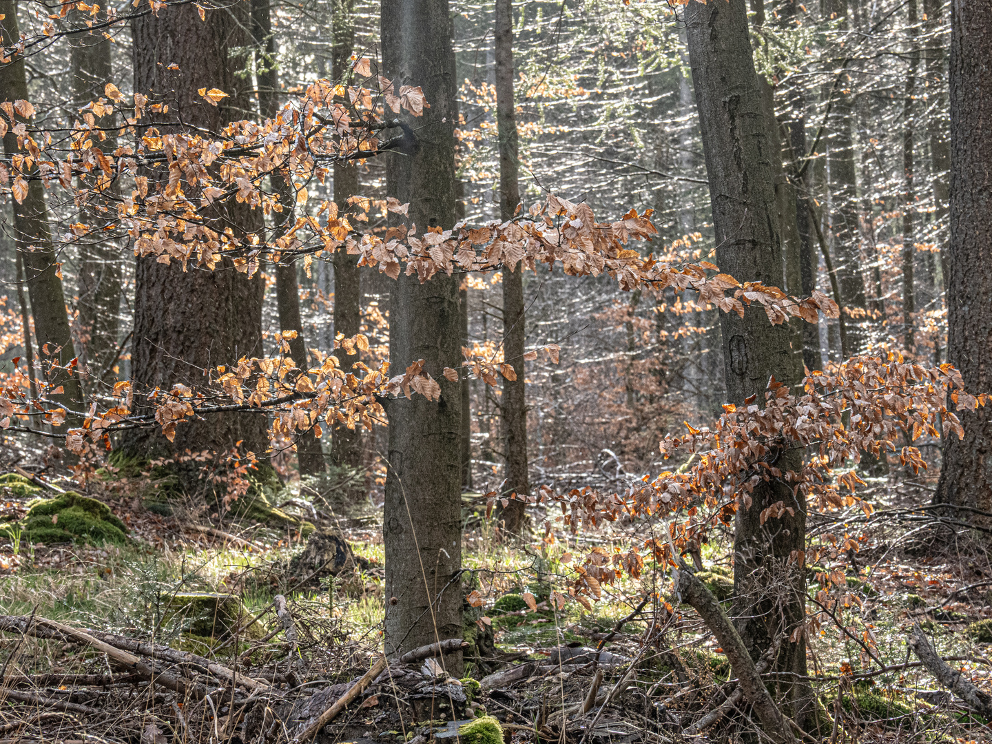 alt und neu,  vom Herbst zum Frühling