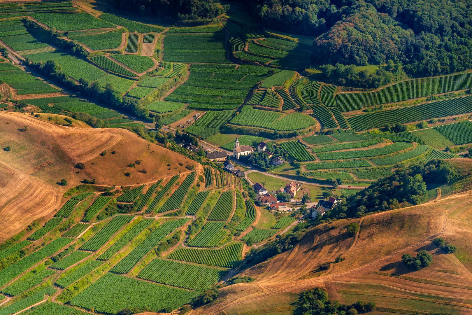 Alt Vorgtsburg am Kaiserstuhl 