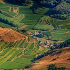 Alt Vorgtsburg am Kaiserstuhl 