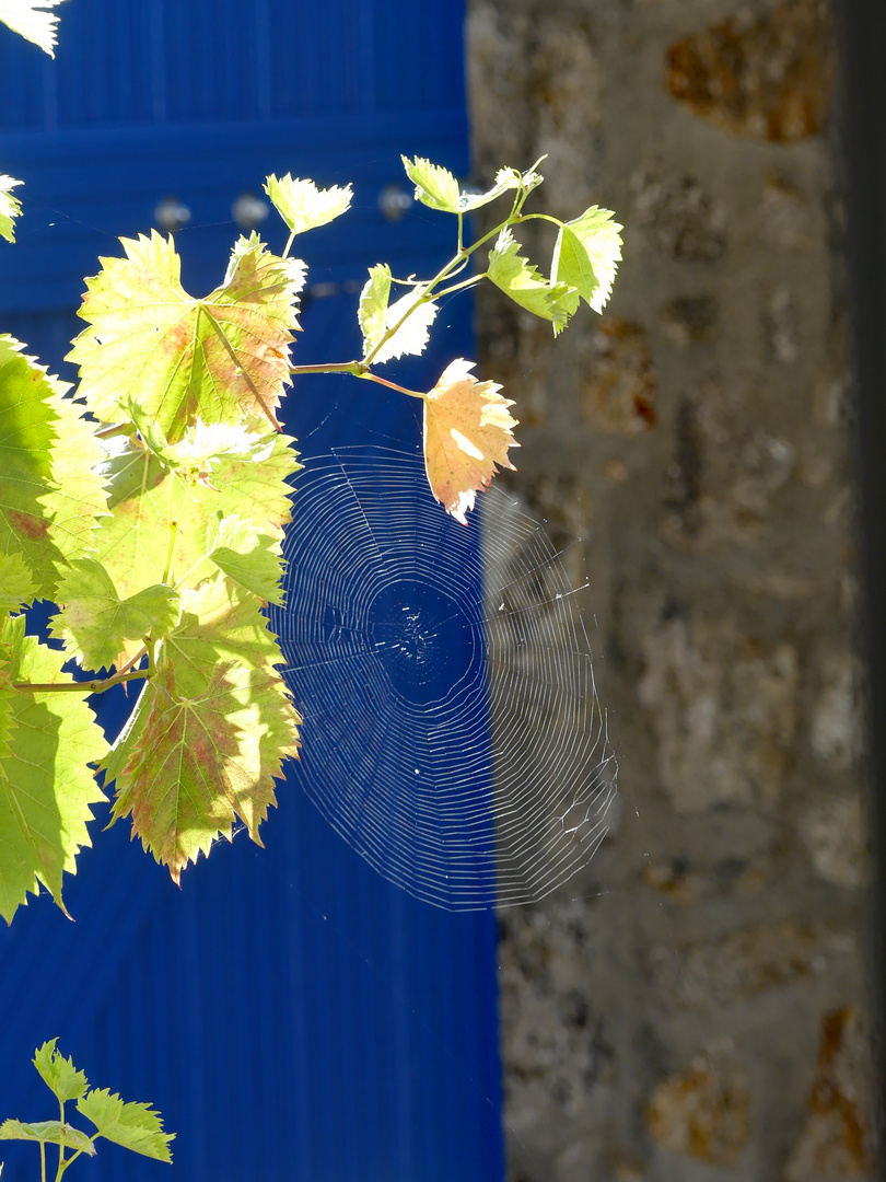 Alt-Weibersommer in der Bretagne