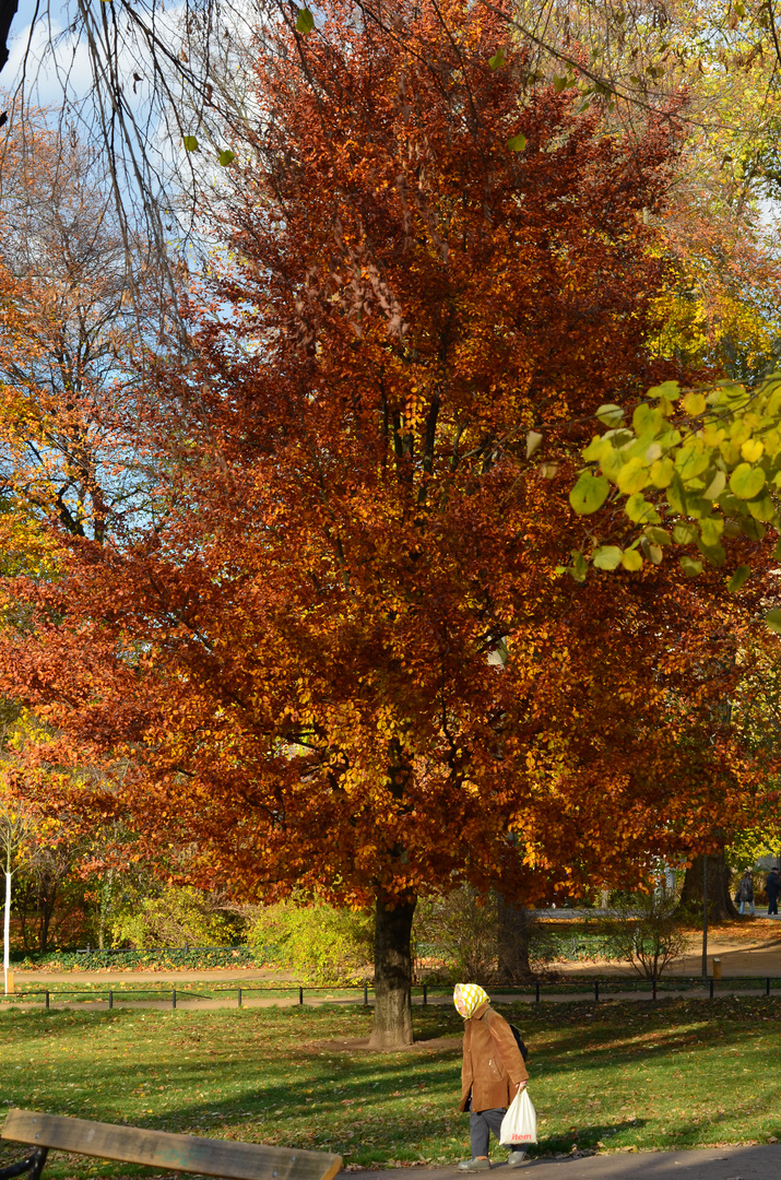 "alt wie ein Baum"