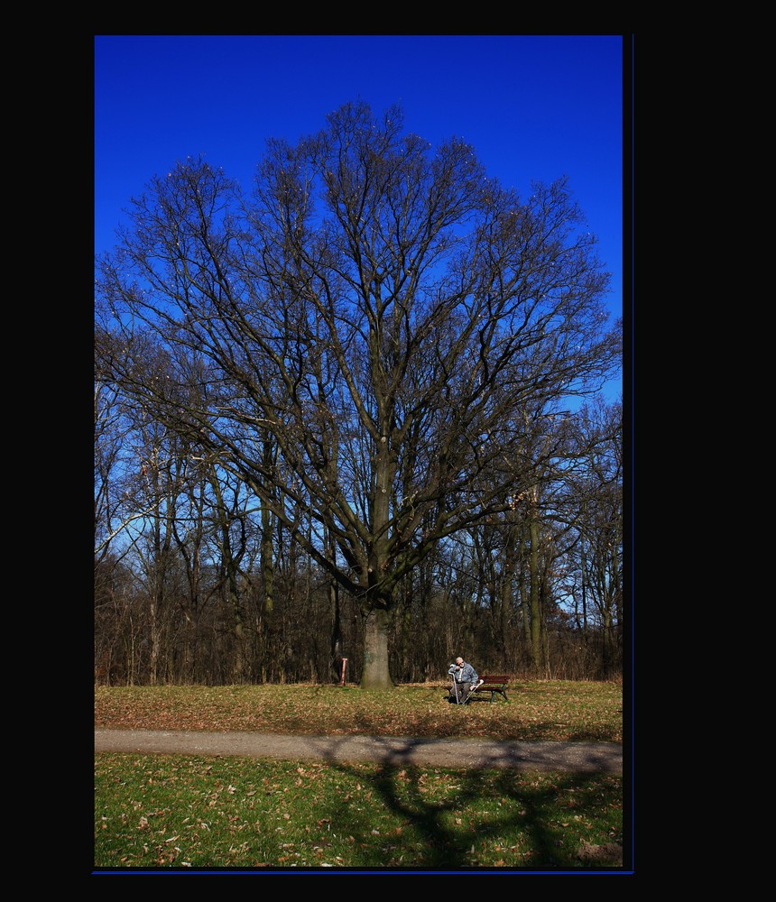 Alt wie ein Baum....