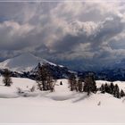 Alta Badia (Südtirol)