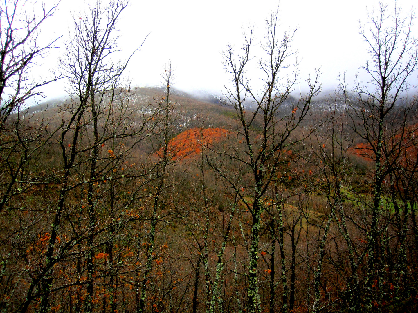 ALTA MONTAÑA