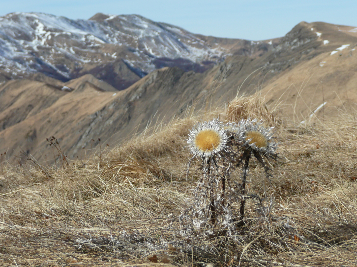 ..alta montagna..