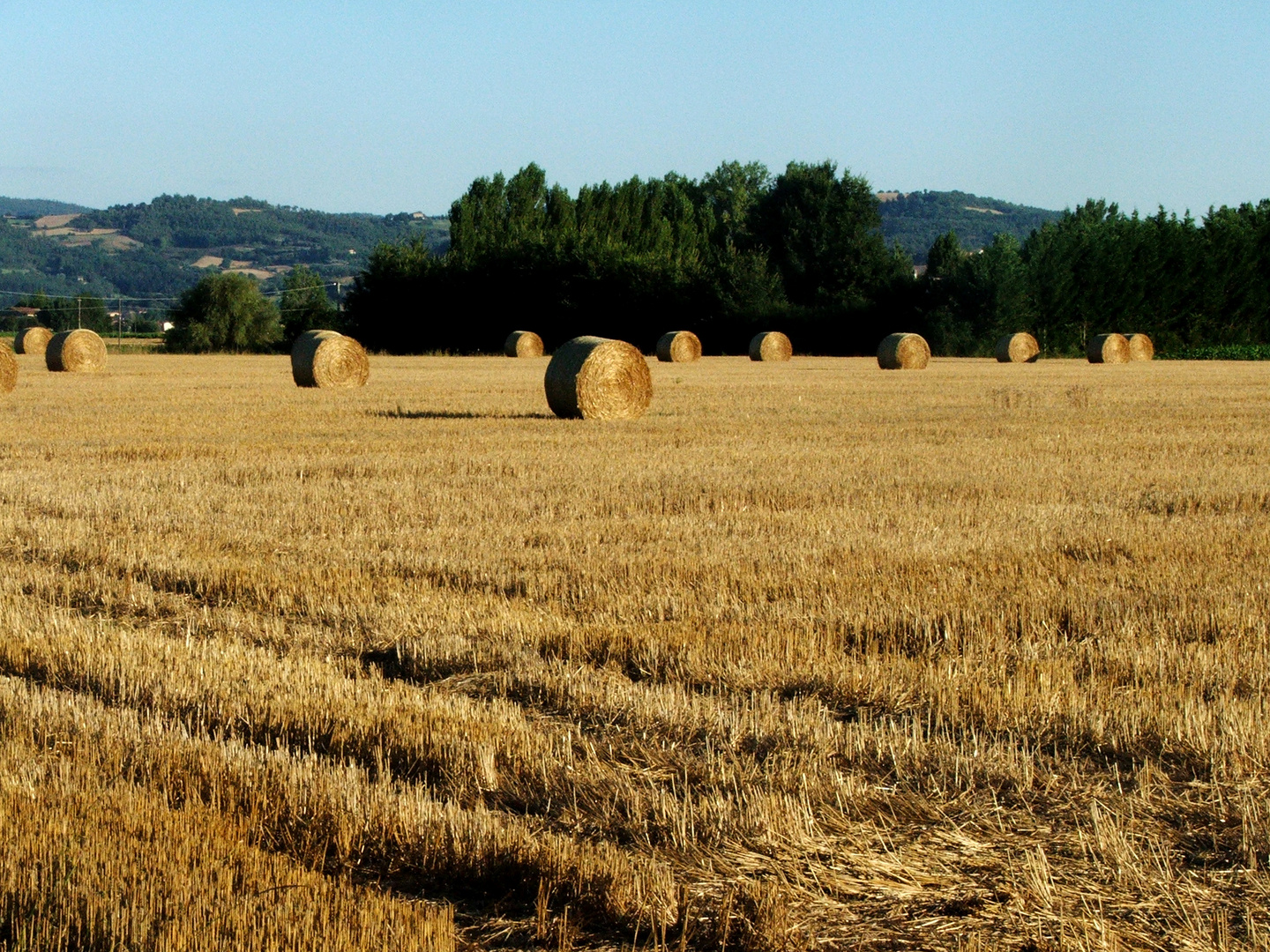 Alta Valle del Tevere