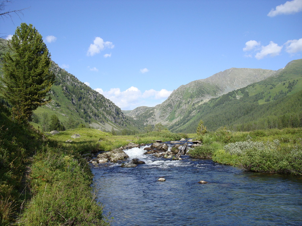 Altai 2009