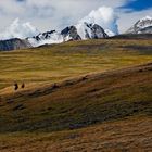 Altai national park