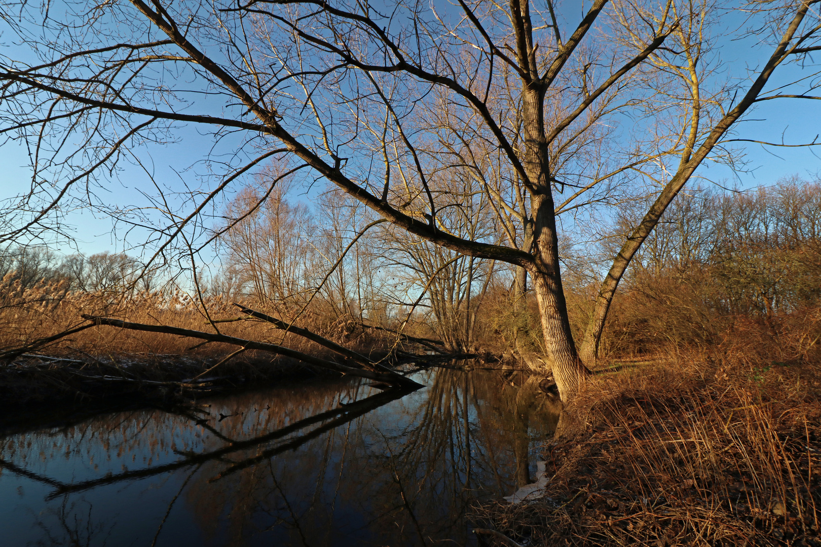 Altarm der Oker