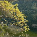 Altaussee II