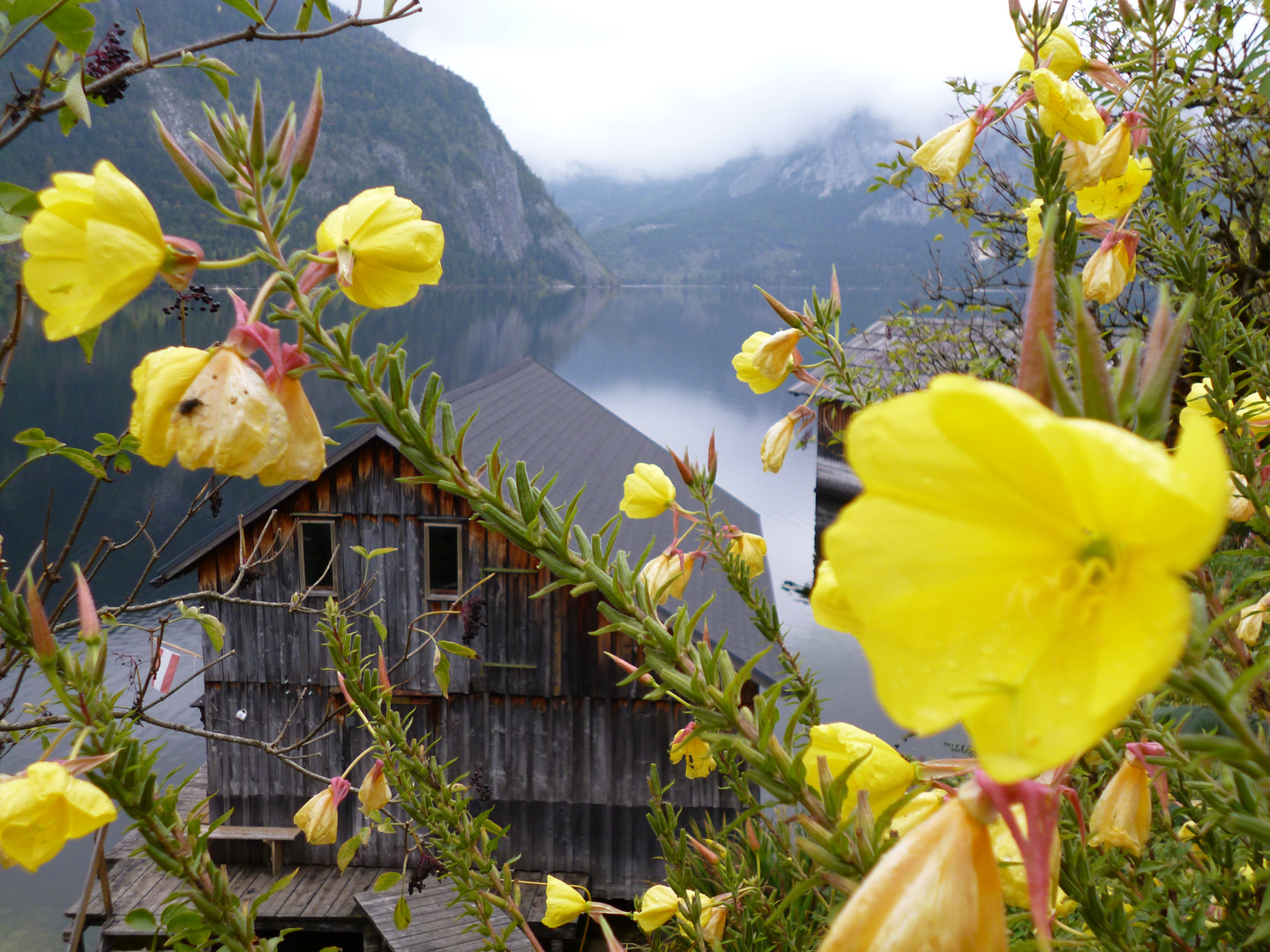 Altausseer See im Herbst