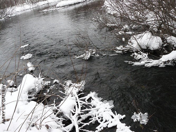 ALTAY RIVER(KOKHI)