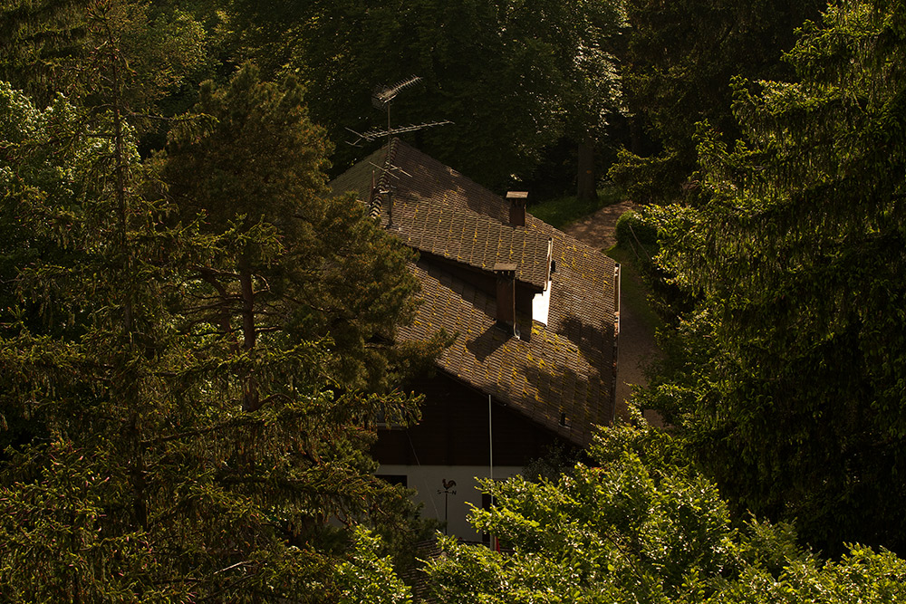 Altberg Hütte,vom Aussichtsturm aus Fotografiert