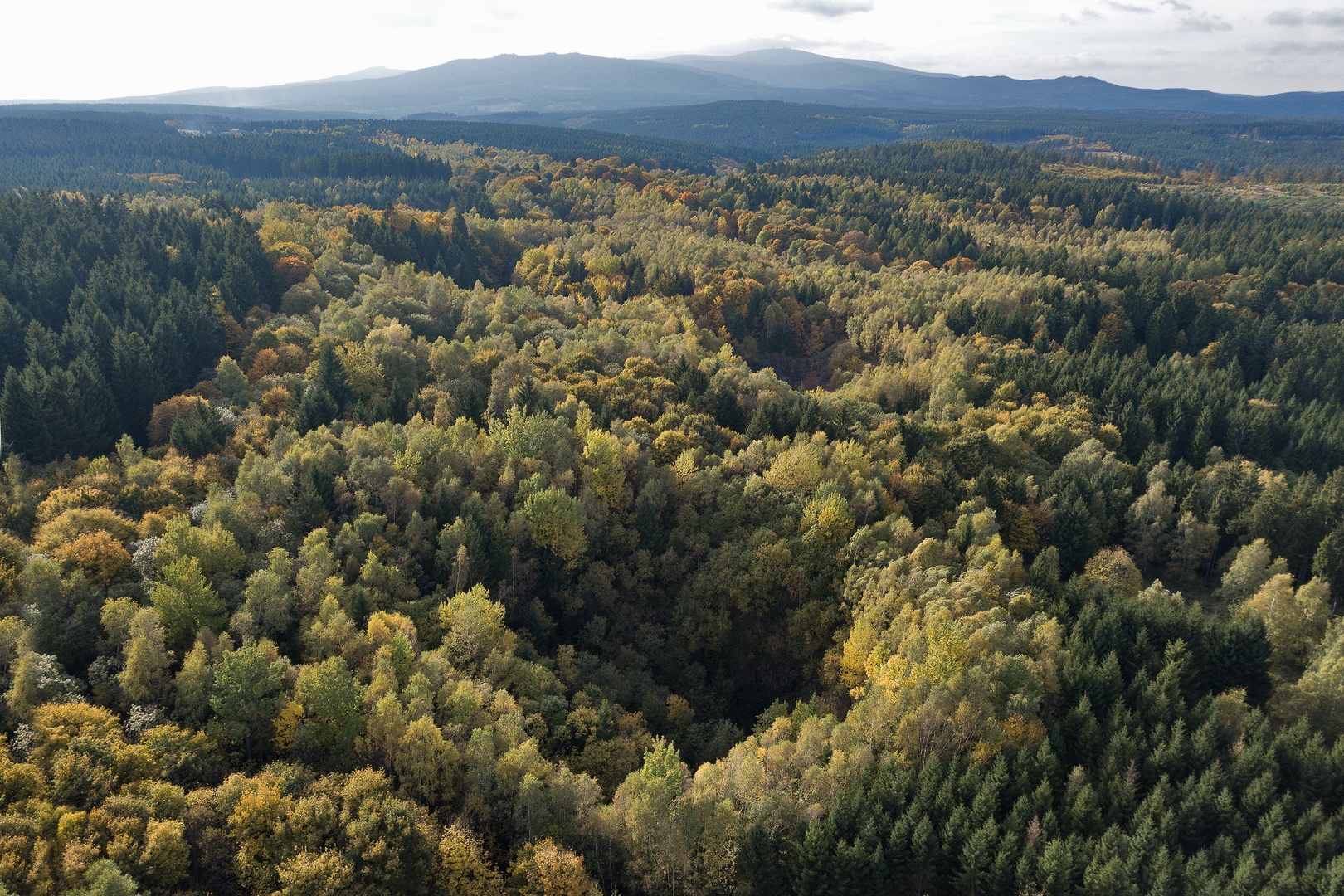 Altbergbaupingen im Harz