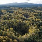 Altbergbaupingen im Harz