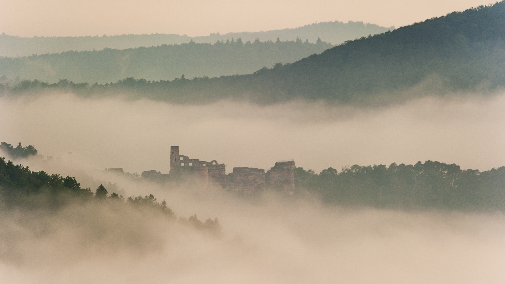 Altdahn im Nebel