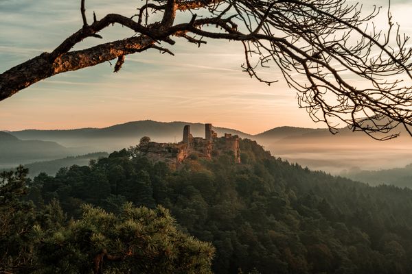 Altdahn in der Morgensonne