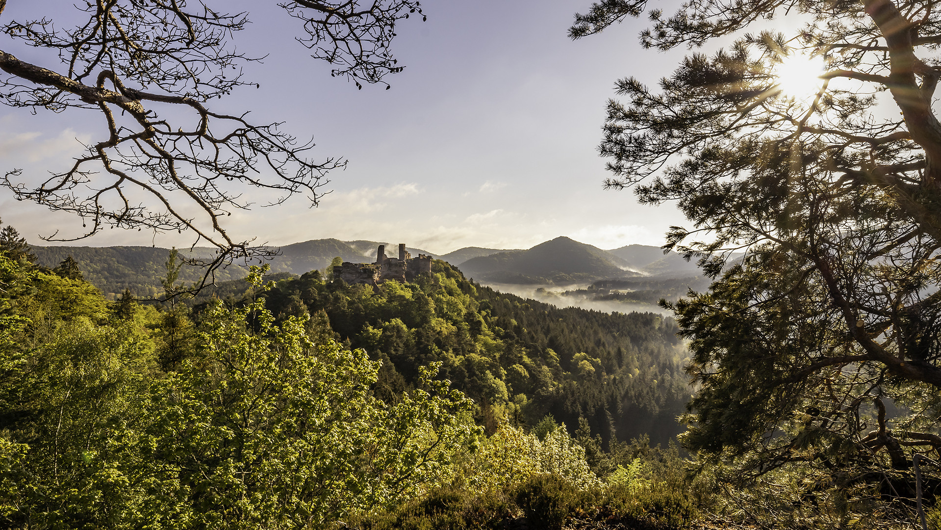 Altdahner Burgen am Morgen