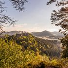 Altdahner Burgen am Morgen