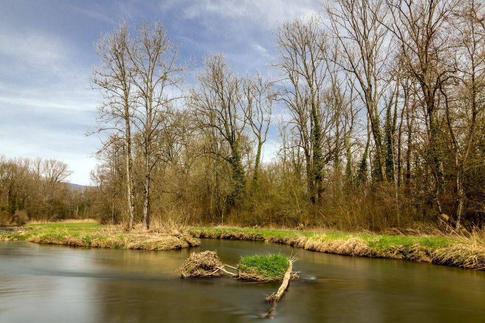 Alte Aare Foto & Bild landschaft, jahreszeiten, frühling Bilder auf
