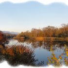 Alte Aare Herbststimmungsbild