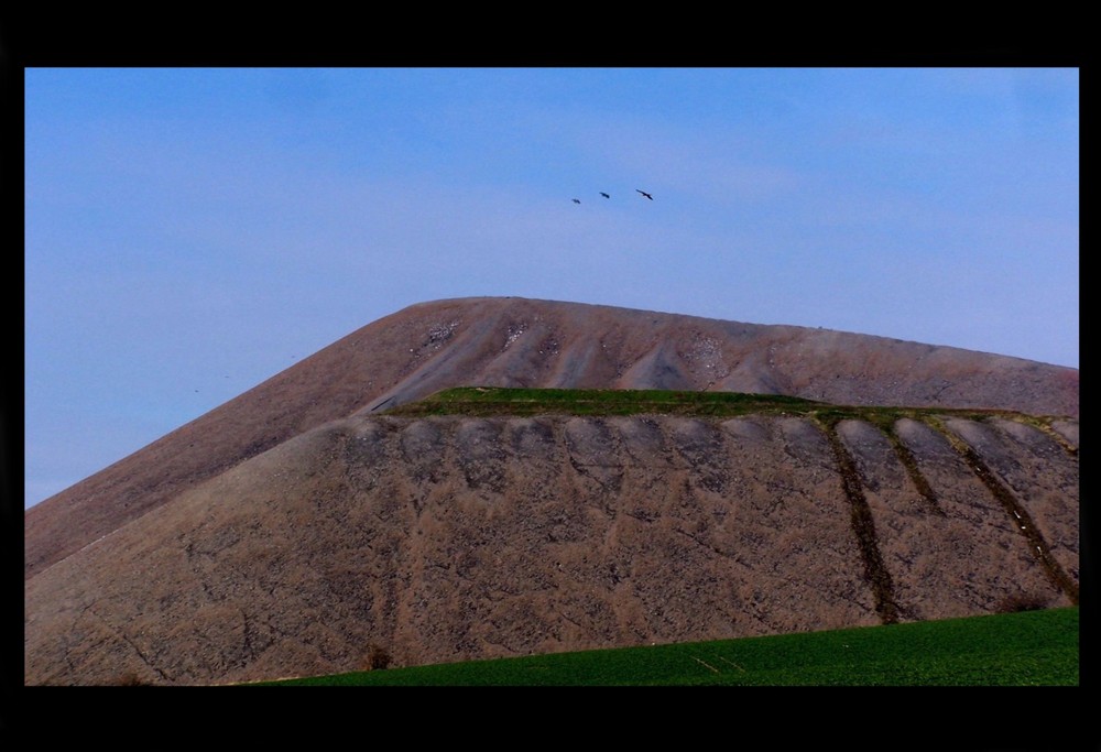 alte Abraumhalde im Mansfelder-Land