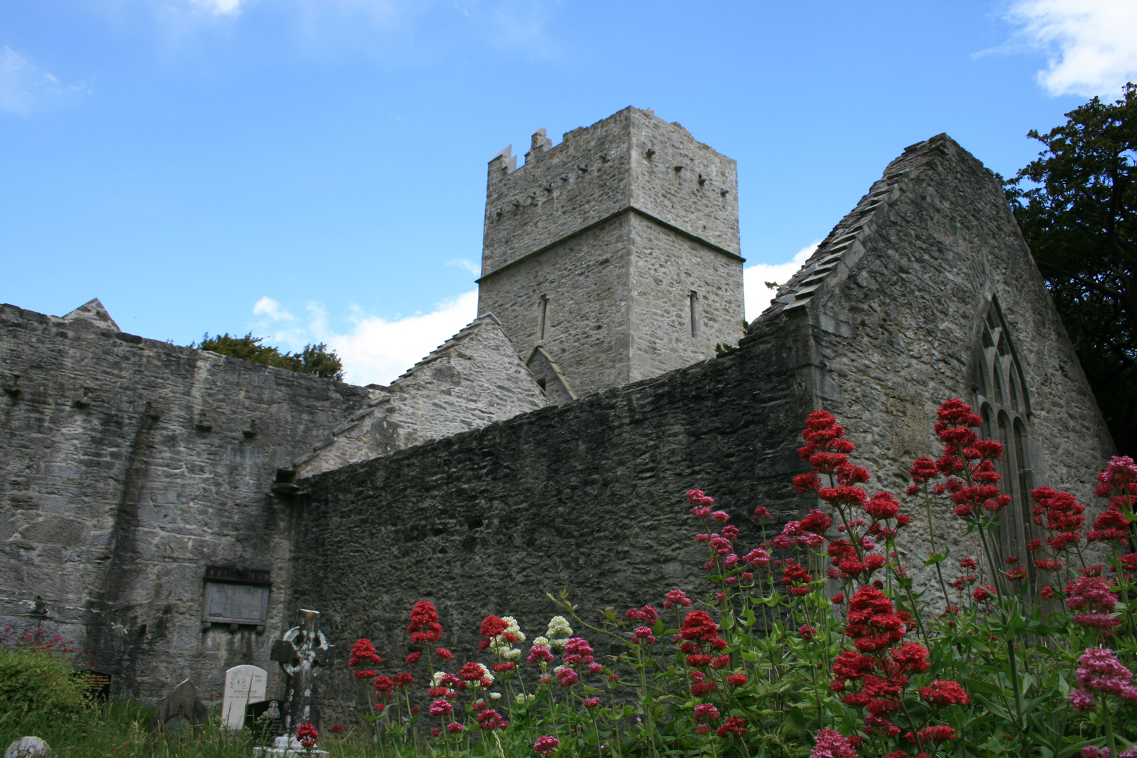 Alte Abtei in Irland