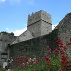 Alte Abtei in Irland