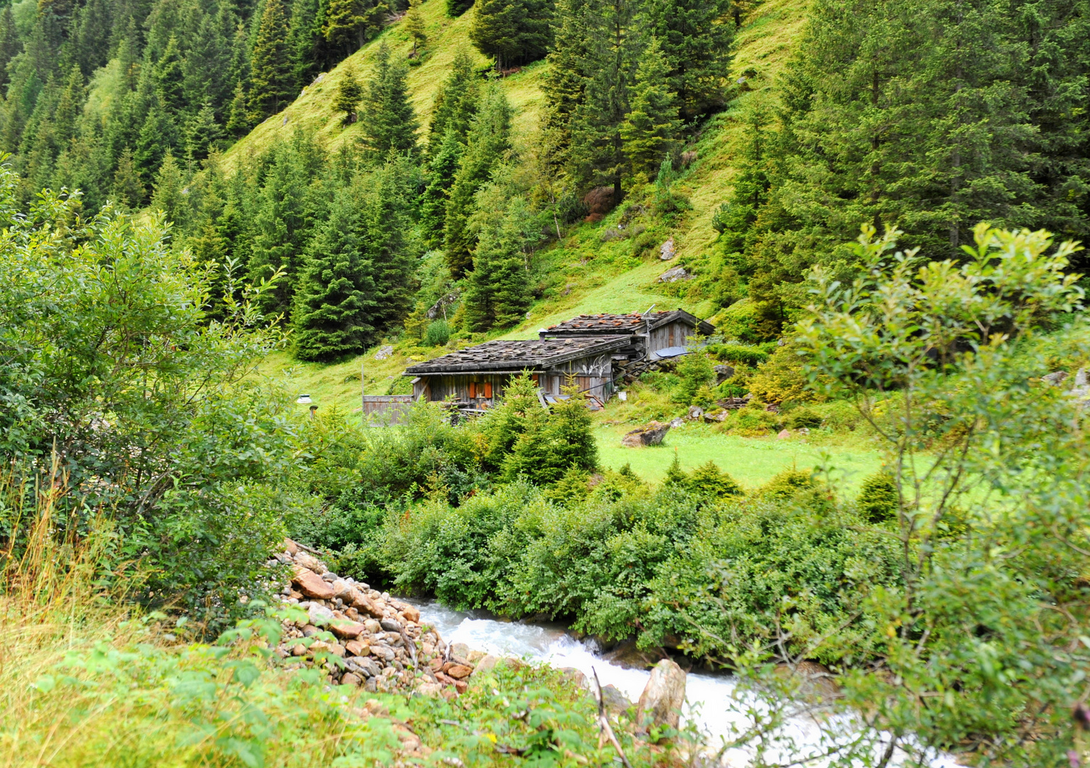 alte Almhütte im Langenbachtal