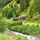 alte Almhütte im Langenbachtal