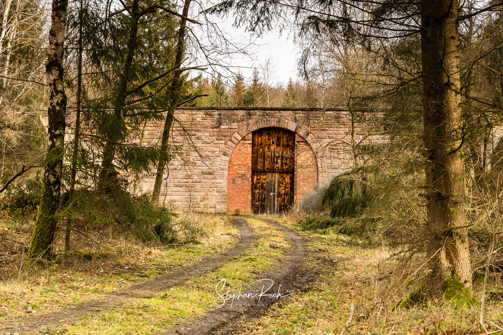 *** ALTE AUTOBAHNBRÜCKE IM WALD ***