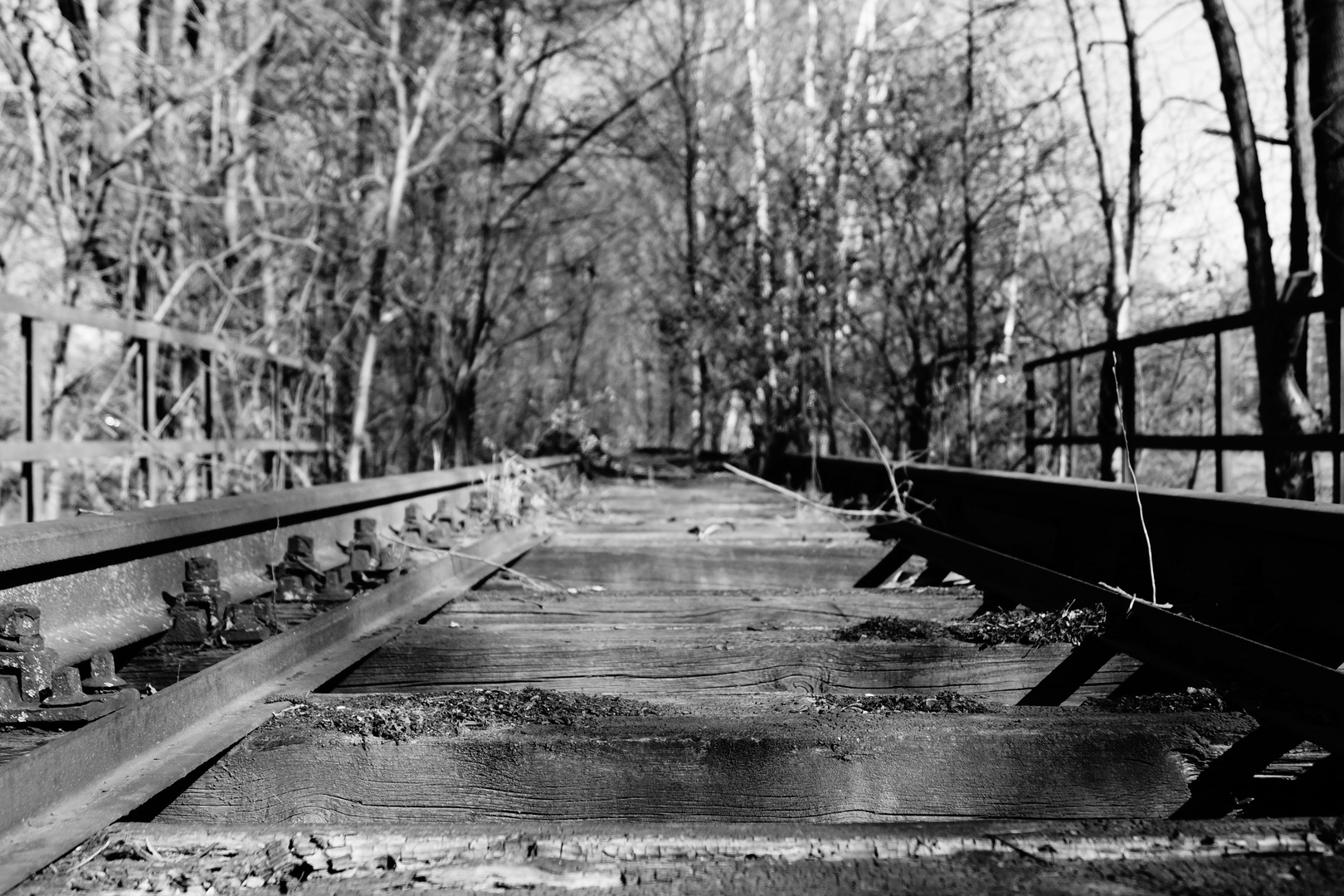 alte Bahngleise im Wald (2)